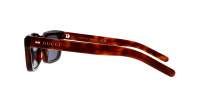 Gucci Web GG1524S 002 51-22 Havane