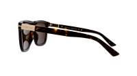 Gucci Web GG1502S 002 54-18 Tortuga