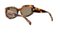 CELINE 3 dots CL40277I 53E 54-20 Tartaruga