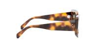 CELINE 3 dots CL40277I 53E 54-20 Tartaruga