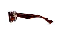 Gucci Gg logo GG1534S 002 55-18 Tartaruga