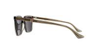 Gucci Web GG1493S 003 54-18 Marrón