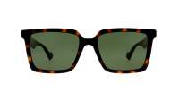 Gucci Lettering GG1540S 002 55-18 Tortoise