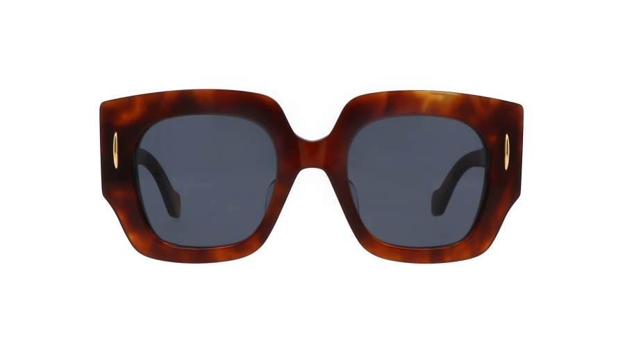 Sunglasses Loewe LW40129U 53V 50-22 Tortoise in stock