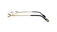 Cartier Core range CT0488O 001 56-19 Oro