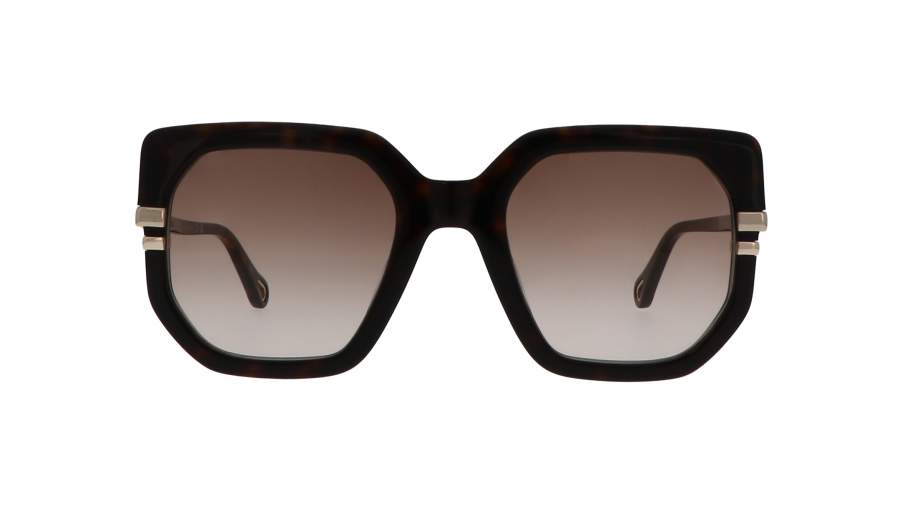 Sunglasses Chloé CH0240S 002 53-23 Tortoise in stock