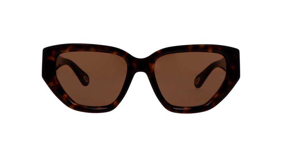 Sunglasses Chloé MARCIE CH0235S 002 55-18 Havana in stock