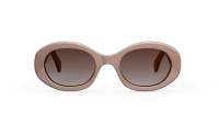 CELINE Triomphe 01 CL40194U 45F 52-22 Brun