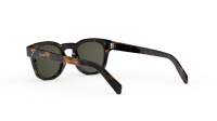 CELINE 3 dots CL40233I 53N 49-23 Havanna