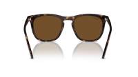 Ray-Ban RB2210 902/57 53-21 Havana