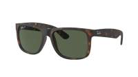 Ray-Ban Justin RB4165 865/9A 54-16 Rubber Havana