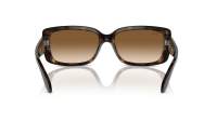 Ray-Ban RB4389 710/51 55-17 Havana
