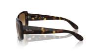 Ray-Ban RB4389 710/51 55-17 Havana