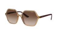 Vogue Eyewear VO5361S 282613 55-16 Transparent Caramel