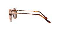 Ray-Ban New round RB3637 9202/33 53-21 Rose Gold