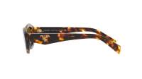Prada Symbole PR 26ZS 14L09Z 55-16 Honey Tortoise