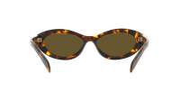 Prada Symbole PR 26ZS 14L09Z 55-16 Honey Tortoise