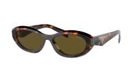 Prada Symbole PR 26ZS 14L09Z 55-16 Honey Tortoise