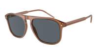 Giorgio Armani AR8212 5932/R5 58-16 Transparent Brown