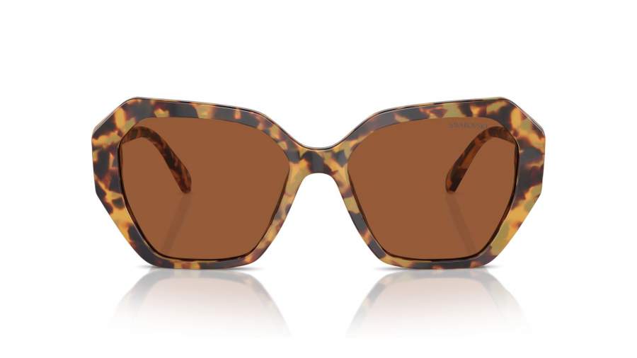 Sunglasses Swarovski SK6017 1004/73 56-17 Medium Havana in stock