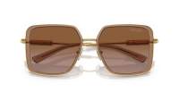 Versace VE2261 1002/13 56-18 Bruin