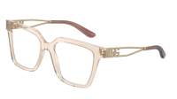 Dolce & Gabbana DG3376B 3432 53-18 Transparent Camel