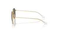 Ray-Ban RJ9594S 223/71 49-19 Arista