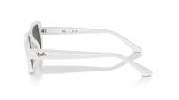 Ray-Ban RB4421D 6772/87 56-18 White