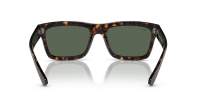 Ray-Ban Warren RB4396 1359/71 54-20 Havana