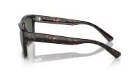 Ray-Ban Warren RB4396 1359/71 54-20 Havana