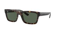 Ray-Ban Warren RB4396 1359/71 54-20 Havana