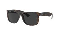 Ray-Ban Justin RB4165 865/87 54-16 Rubber Havana