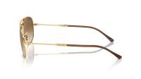 Ray-Ban Bain bridge RB3735 001/51 60-17 Arista