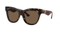 Burberry BE4418 3002/73 54-19 Dark Brown