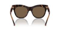 Burberry BE4418 3002/73 54-19 Dark Brown