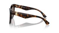 Burberry BE4418 3002/73 54-19 Dark Brown