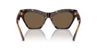 Burberry BE4420U 3002/73 55-18 Dark havana