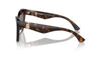 Burberry BE4420U 3002/73 55-18 Dark havana