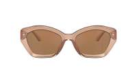 Michael kors Bel air MK2209U 3999/O 54-18 Brown transparent