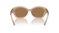 Michael kors Bel air MK2209U 3999/O 54-18 Brown transparent