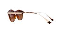 Maui Jim Momi HS622-10 Shiny Dark Havana