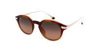 Maui Jim Momi HS622-10 Shiny Dark Havana