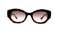 Gucci Gg logo GG1553S 002 52-21 Tartaruga