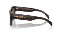 Prada Logo PR A09S 16N-5Y1 53-18 Briar Tortoise