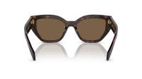 Prada Logo PR A09S 16N-5Y1 53-18 Briar Tortoise