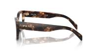 Prada PR A16V 14P-101 51-18 Caramel Tortoise