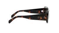 CELINE 3 dots CL40287U 52A 51-21 Tartaruga