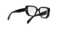 CELINE Triomphe CL50146I 001 53-16 Sort