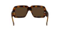 Loewe Paula's ibiza LW40064U 52G 56-17 Tortoise