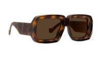 Loewe Paula's ibiza LW40064U 52G 56-17 Tortoise